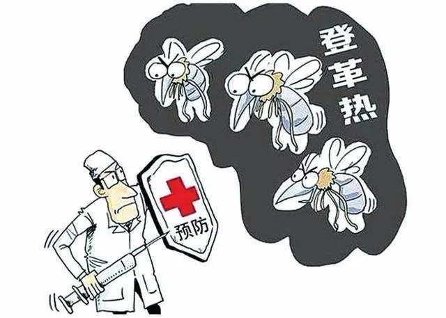 【医学前沿】新研究建议补铁预防登革热